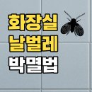 [화장실 날벌레 박멸법] 한 번 보면 절대 잊지 않는 나방파리 완전 제거 루틴
