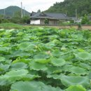 호연농장 이미지