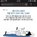 일주일만에 효과 본 스트레칭, 홈트법 공유 이미지