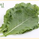 케일 - 양천구 목동중앙북로16길 7-9 | 케일
