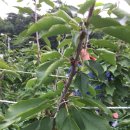 바우농장 이미지