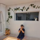 곽지머물다 이미지