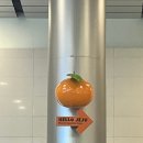 제주도 공항근처 가성비 미친 고등어조림 맛집 &lt; 누룽지식당 &gt; 내돈내산 후기