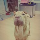 플러스소프트 이미지