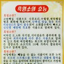 가막골흑염소 이미지