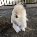 삼성중앙 이미지