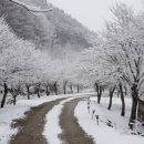 펜션바우 이미지