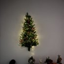 스테이 이솜 | 묵호 숙소 추천 스테이 이솜 솔직후기