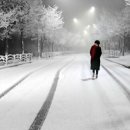 겨울나그네 이미지