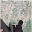 세븐일레븐 아산염치송곡점 | 미서니 강으니 청첩장 모임 포함 롯데리아 애플 캐모마일 티 인절미바