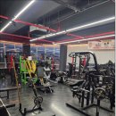 평생헬스 | 선암동PT운동하기 찾다가평생헬스 선운점 다녀온 후기