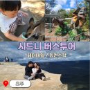 삼성투어협동조합 | 시드니 일일투어 블루마운틴 페더데일 동물원 내돈내산 아이랑 후기