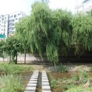 새마을교 이미지