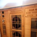 더올바로척추체형운동센터 이미지