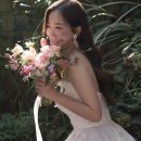 세영스튜디오 이미지