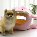 핑크애견하우스 이미지