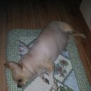 도원LPG충전소 이미지