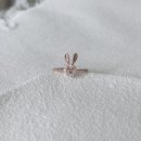웃는토끼