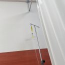 주)두손비앤아니 | 9월 넷째주 일상 블로그 &lt;길고양이: 좀비딸 영화후기: 카카오네비 점수&gt;