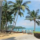 행복한 꿈 | 코사무이 신혼여행후기 꿈만 같았던 행복한 추억