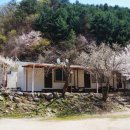 더숨민박 네이버블로그