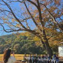 광제산영농조합법인 이미지