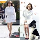 단아한펫 이미지