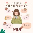 쓰담쓰담 - 성북구 | 쓰담쓰담