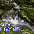 태안사 야영장 이미지