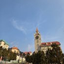 테마와 하루(목장 체험) | 가평 가볼만한곳 에델바이스 스위스 테마파크 후기 (입장료·애견동반 정보)