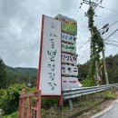 [포천] 별 맛집 캠핑장 아롱별 캠핑장 내돈내산 후기