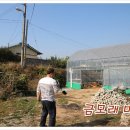 박상식 농가 이미지