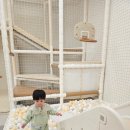 예스김밥카페 이미지