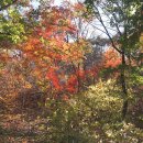 남산공원길 이미지