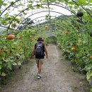 이현동2 이미지