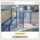 장류테마파크 | 순창발효테마파크 콩이관 후기｜전북 아이랑 실내에서 놀기 좋았던 곳