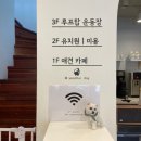 연희도그 이미지