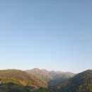 지리산옻닭흑돼지 이미지