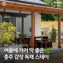 스테이옛 서로의시선 | 충주 감성 독채펜션 추천! 여름 촌캉스 즐기기 좋은 '스테이옛 서로의시선'