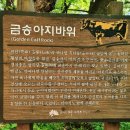 행복가득주유소 | '꽃과 예술이 함께 핀 동네' - 전주 완산 칠봉 꽃동산 철쭉, 완주 상관 편백숲 트래킹