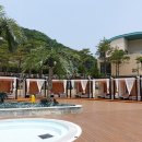 디엠에스 이미지