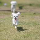 보리콩이네 이미지