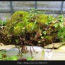 연곡농장 이미지