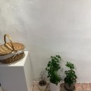 토토리 | 망원동 감성 꽃집 토레마틴 &amp; 스튜디오 토토리 꽃바구니 클래스 후기 및 작업물