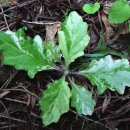 금창초등학교 이미지