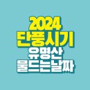 2024년 단풍시기 이미지