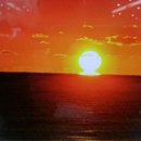 행정사 양승인 사무소 이미지