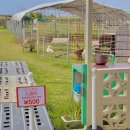 햇살 염소농장 이미지