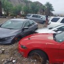 세종에코 이미지