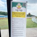 Petshill (펫츠힐) | 일산 애견카페 펫츠힐 대형견 강아지 수영장 &amp; 야외 운동장